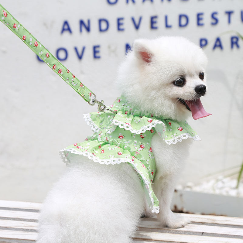 Chest Strap Traction Small Floral Lace Teddy Bear Dog Leash In Spring, Summer And Autumn