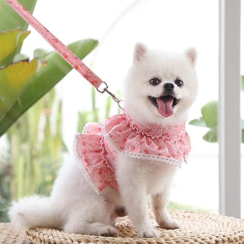 Chest Strap Traction Small Floral Lace Teddy Bear Dog Leash In Spring, Summer And Autumn