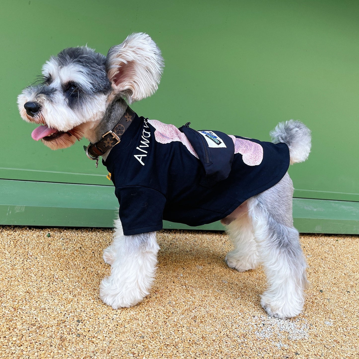 Pet Clothes Backpack Bear And Dog Thin Breathable T-shirt