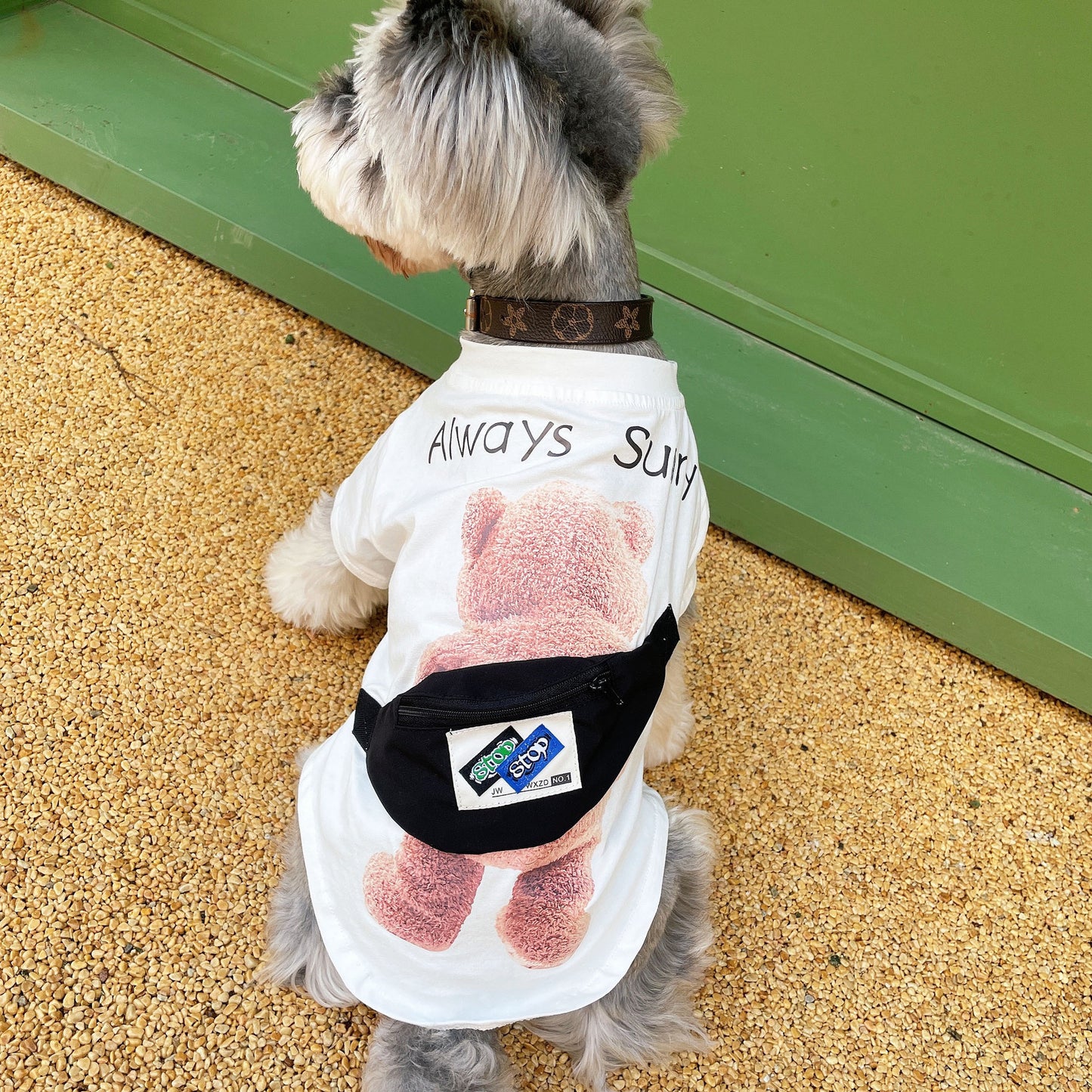 Pet Clothes Backpack Bear And Dog Thin Breathable T-shirt