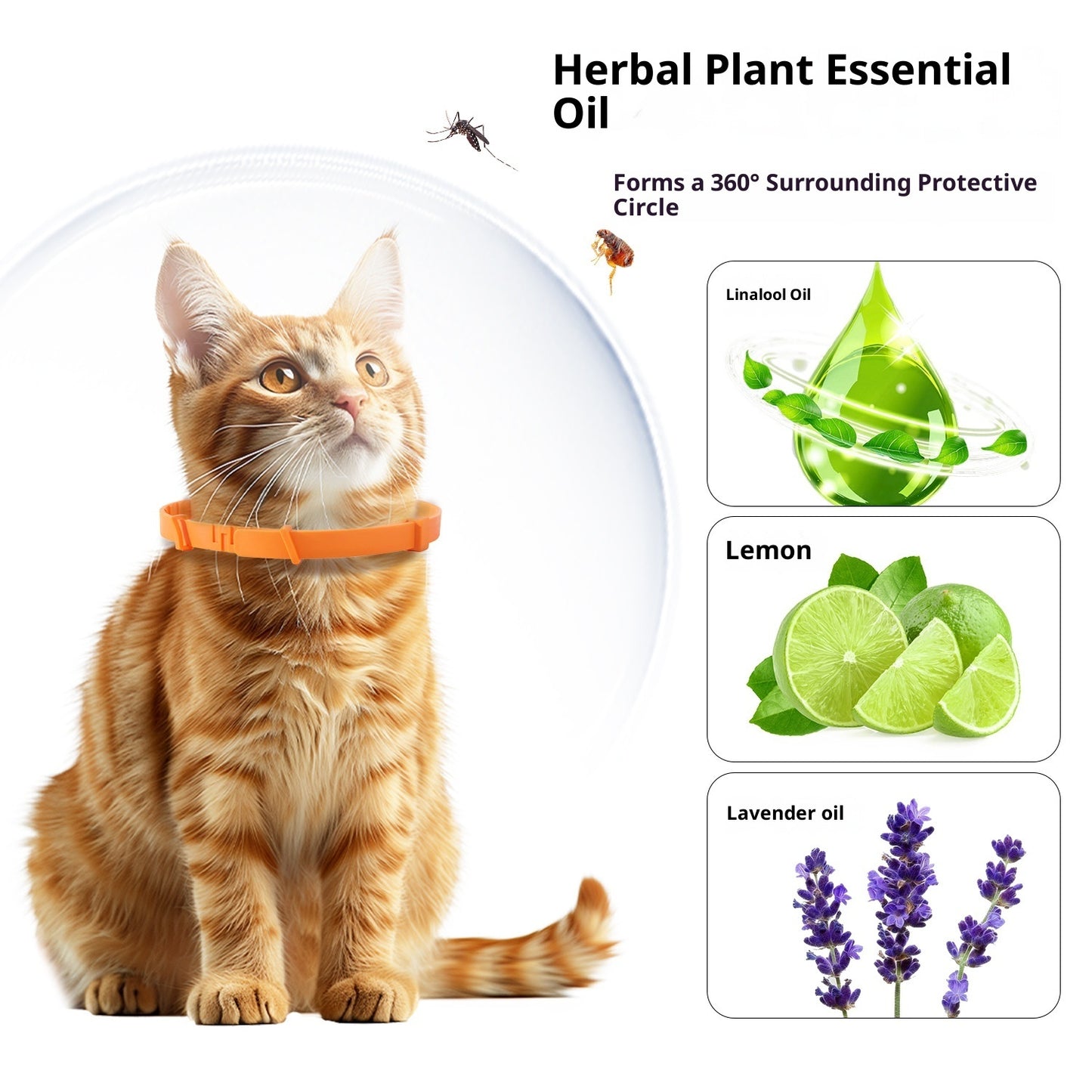 Anti-bite Cat For Common Dogs Adjustable Collar